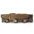 Mossy Oak Scalloped Belt With Shotgun Shell Conchos - Belts & Buckles