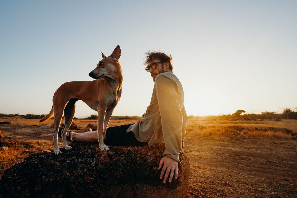 A relaxed dog sitting next to a man