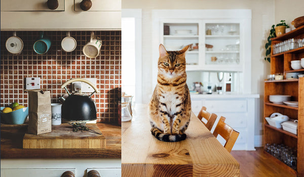 Decorate and Organize Your Kitchen