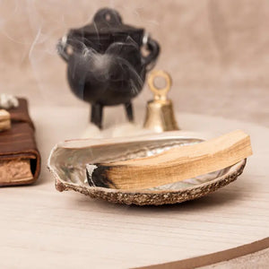 Incense Shell Bowls - Nudge Eco Store