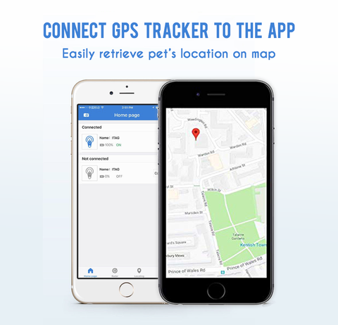 forlovefordogs for love for dogs jewelry gps pets 
