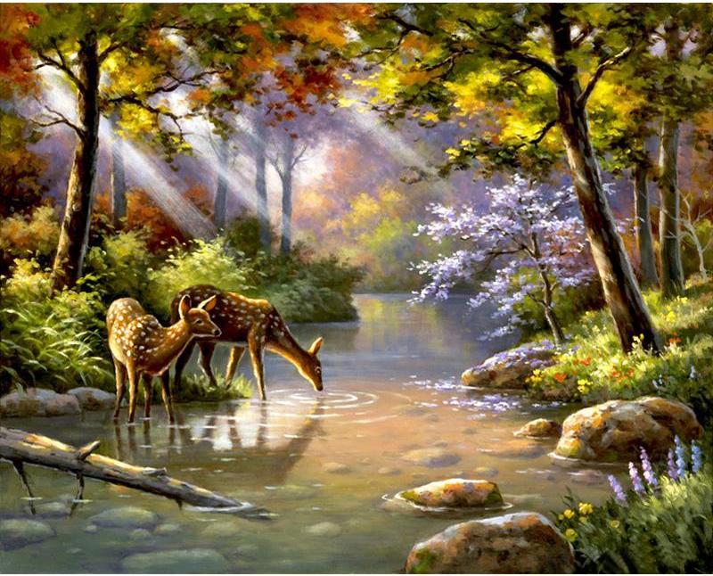 deer drinking water from stream