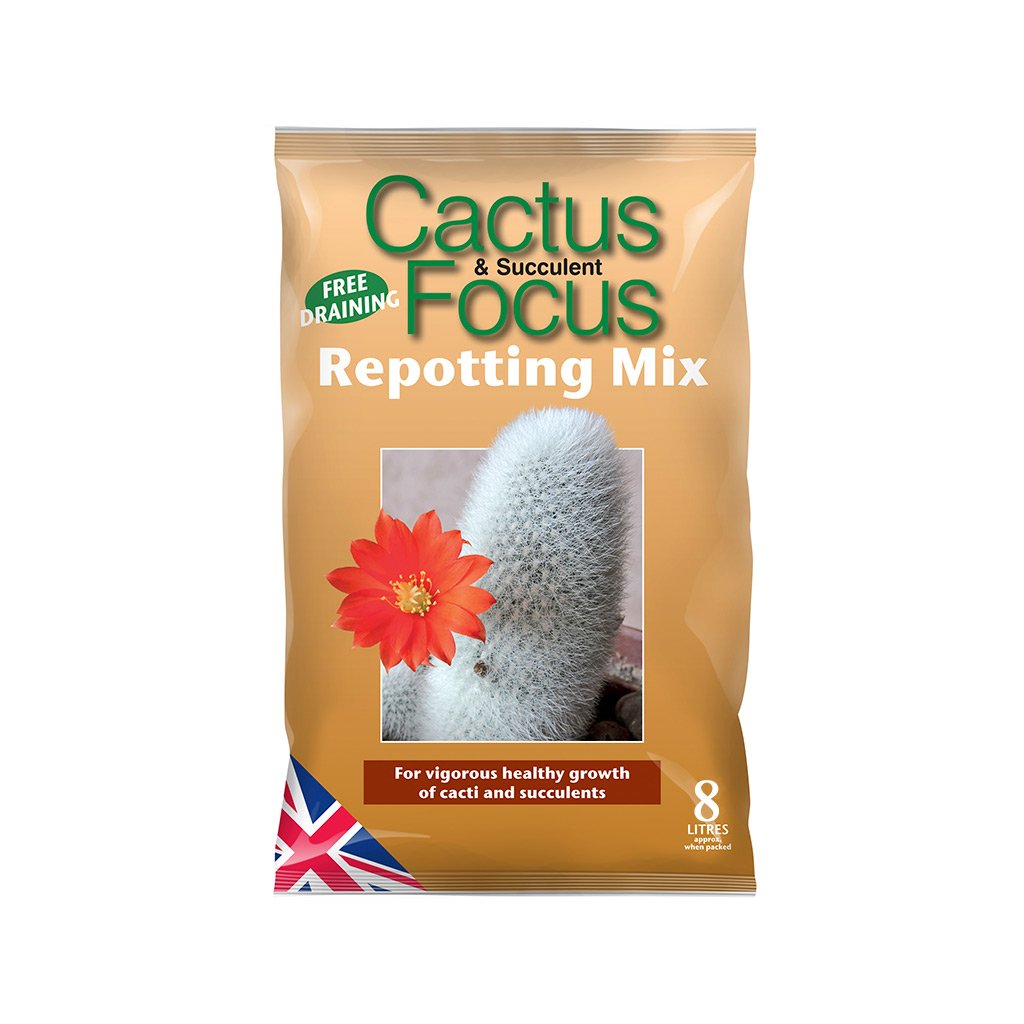 Image of Cactus Repotting Mix | UK Made - Sustainably Sourced | Plant Care  2 FoCus 