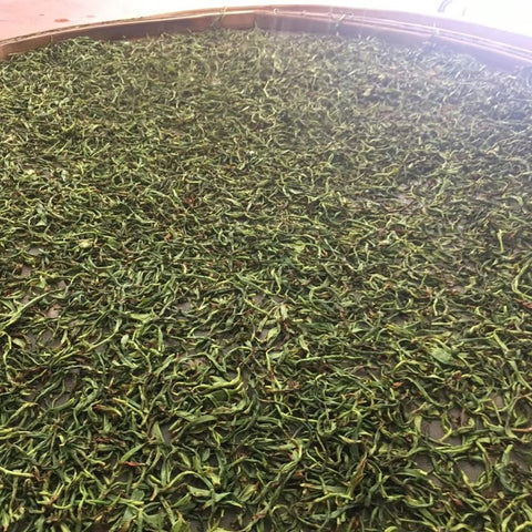 Rolled tea leaves