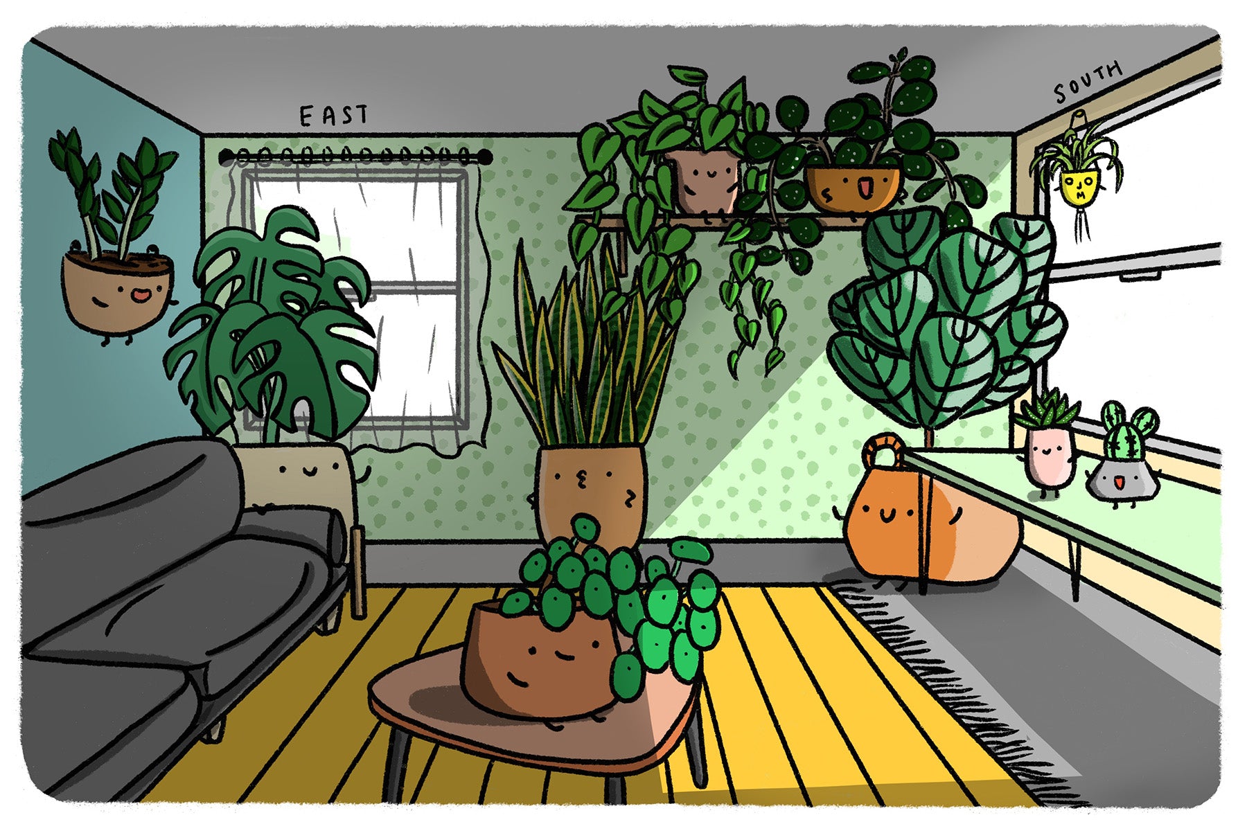 The Ultimate Houseplant Lighting Guide: Light Requirements for Indoor Plants Explained - JOMO Studio