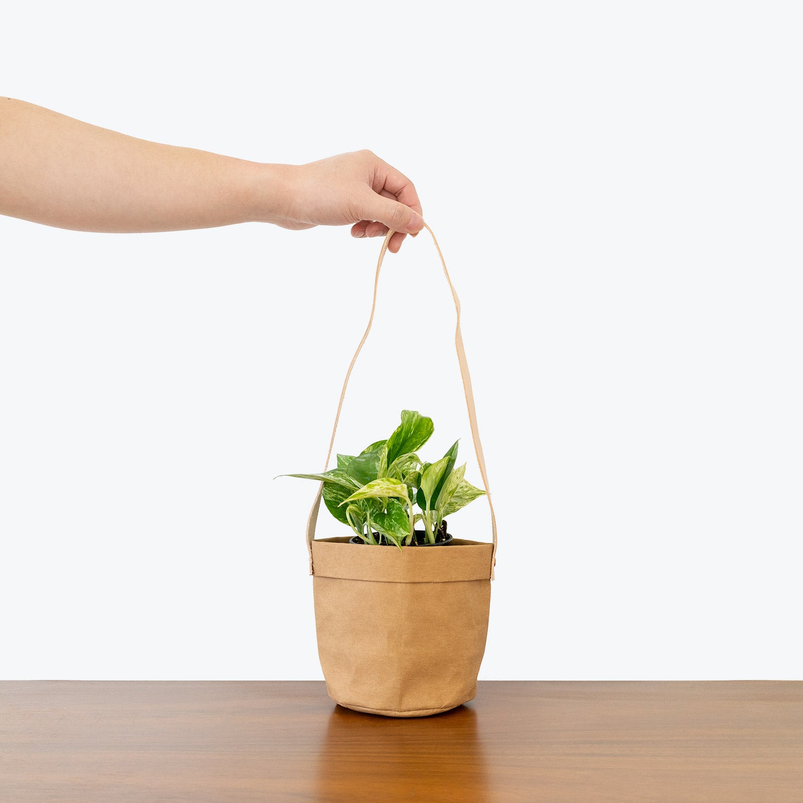 Washable paper planter bags - The perfect eco-friendly solution