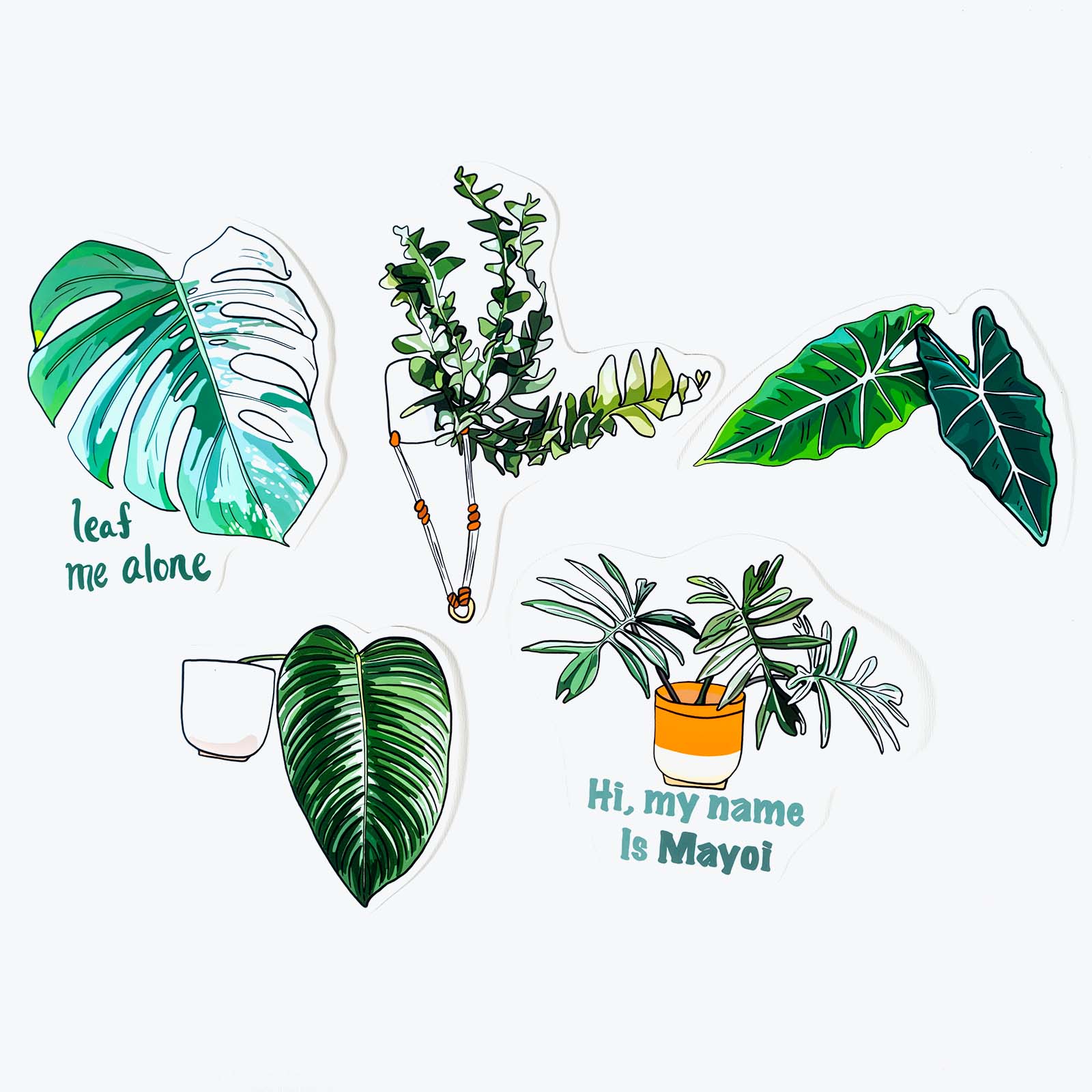 Reusable Plant Tape Garden Tie - House Plants Delivery Toronto - JOMO Studio