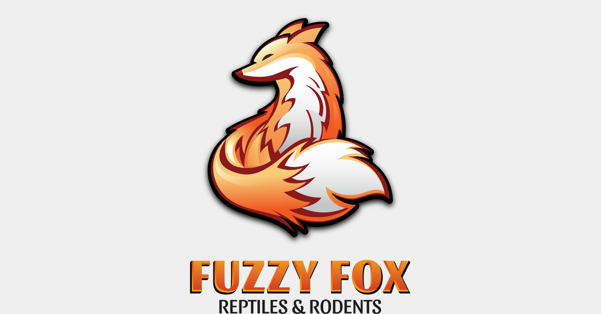 www.fuzzyfox.com.au