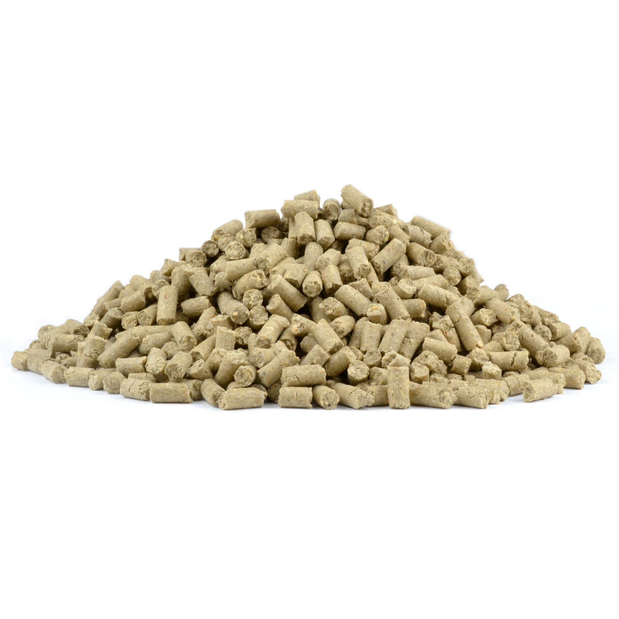 Buy Reptile Pellets (400g) | Lizard Food – Fuzzy Fox Naturally Smarter ...