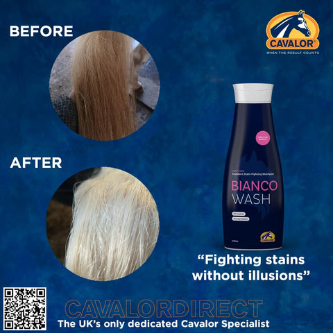 Cavalor Bianco Wash Example From Cavalor Direct