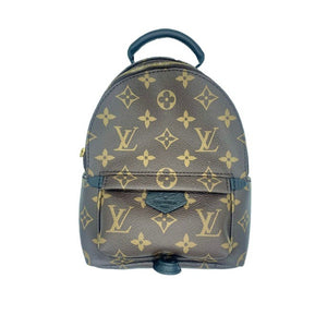 facet vagt Periodisk Louis Vuitton Monogram Canvas Palm Springs Mini Backpack - TheRelux.com