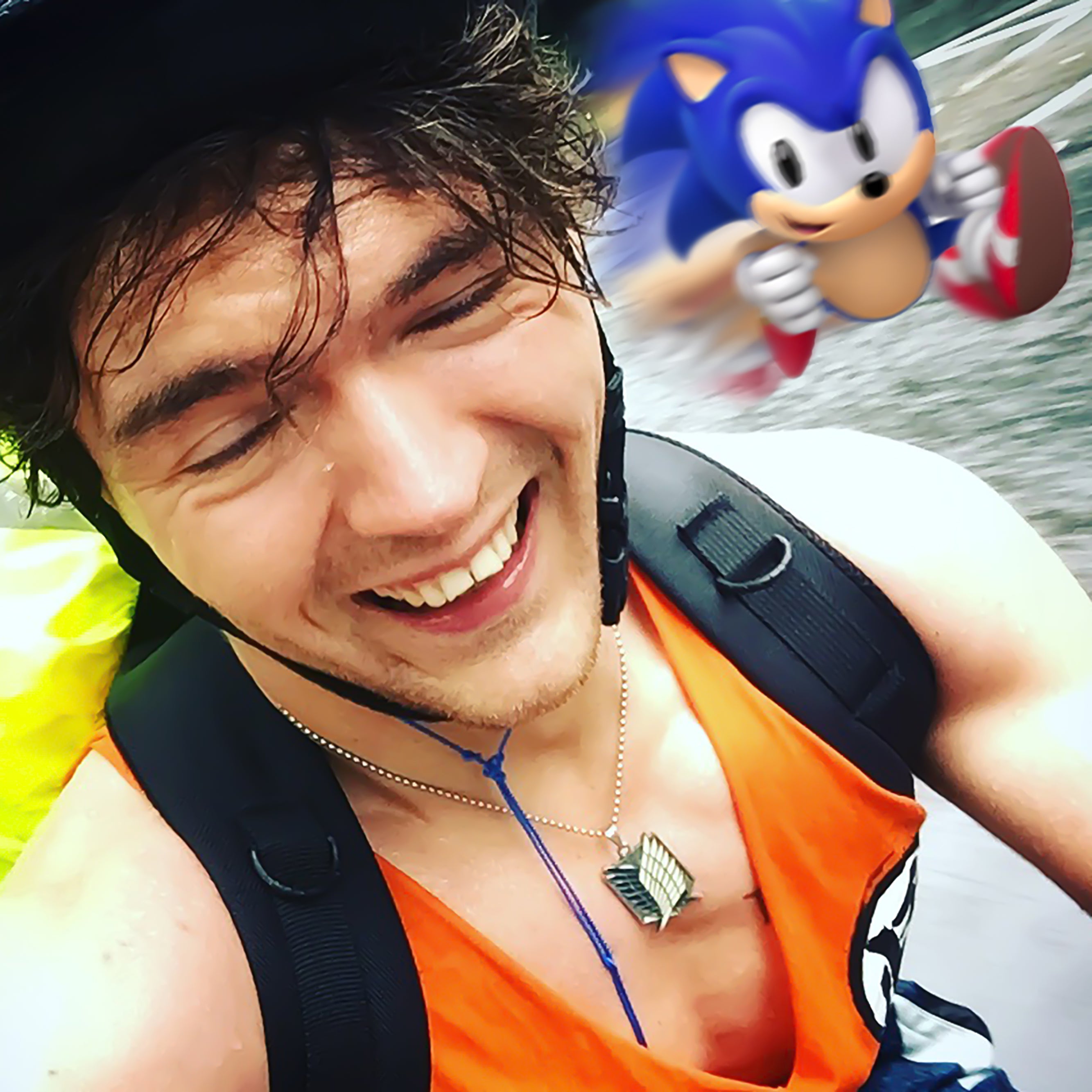What speed-running Sonic the hedgehog taught me about fitness