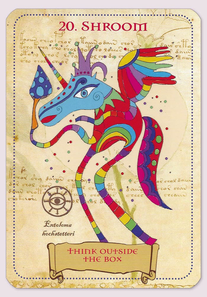 Enchanted Unicorn Oracle and Guidebook — TarotArts