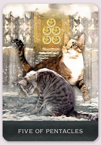 Grimalkin's Curious Cats Tarot: An 80-Card Deck and Guidebook 