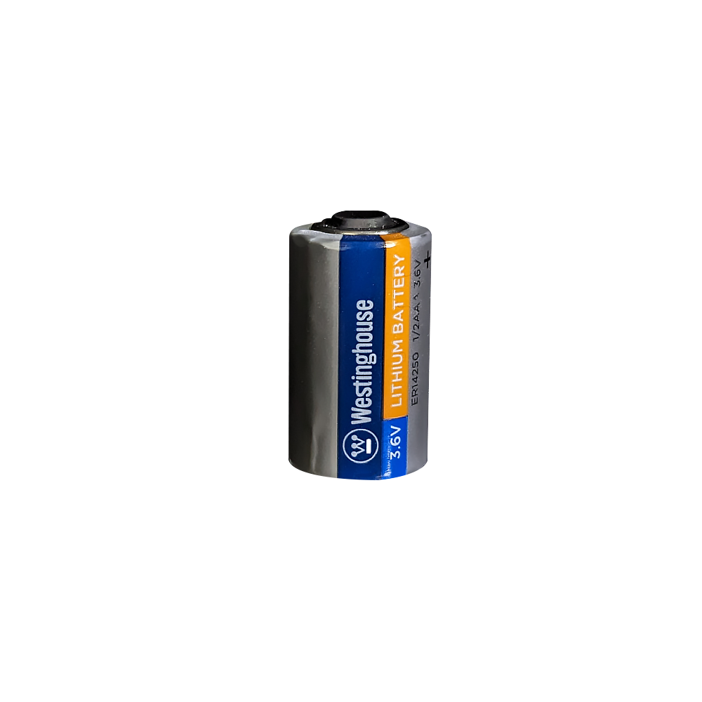 Naccon ER34615 3.6 Volt D Size Lityum Büyük Boy Pil
