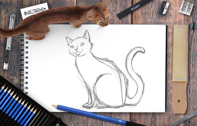 Cat Pencil Drawing Images – Browse 1,354,704 Stock Photos, Vectors, and  Video | Adobe Stock