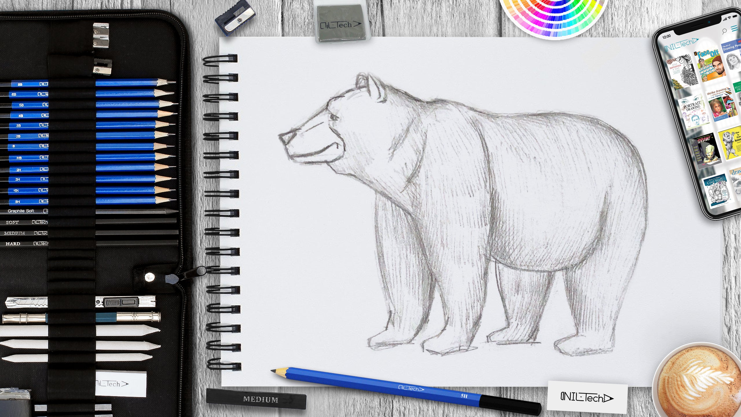 bear drawings