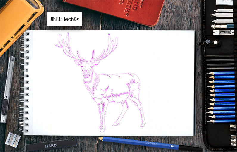 drawingsofm  Young Deer Draw with fine tip maker art drawing lines  mystyle pencil inspiration sketchart illustrator picture pigmamicron  Nature Deer  Facebook