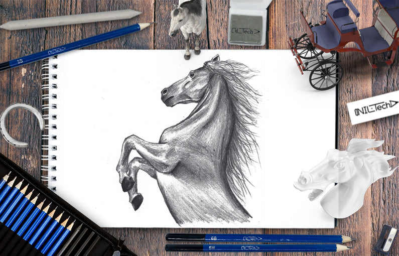 How To Draw Horse Step By Step Tutorial Shopnil Tech