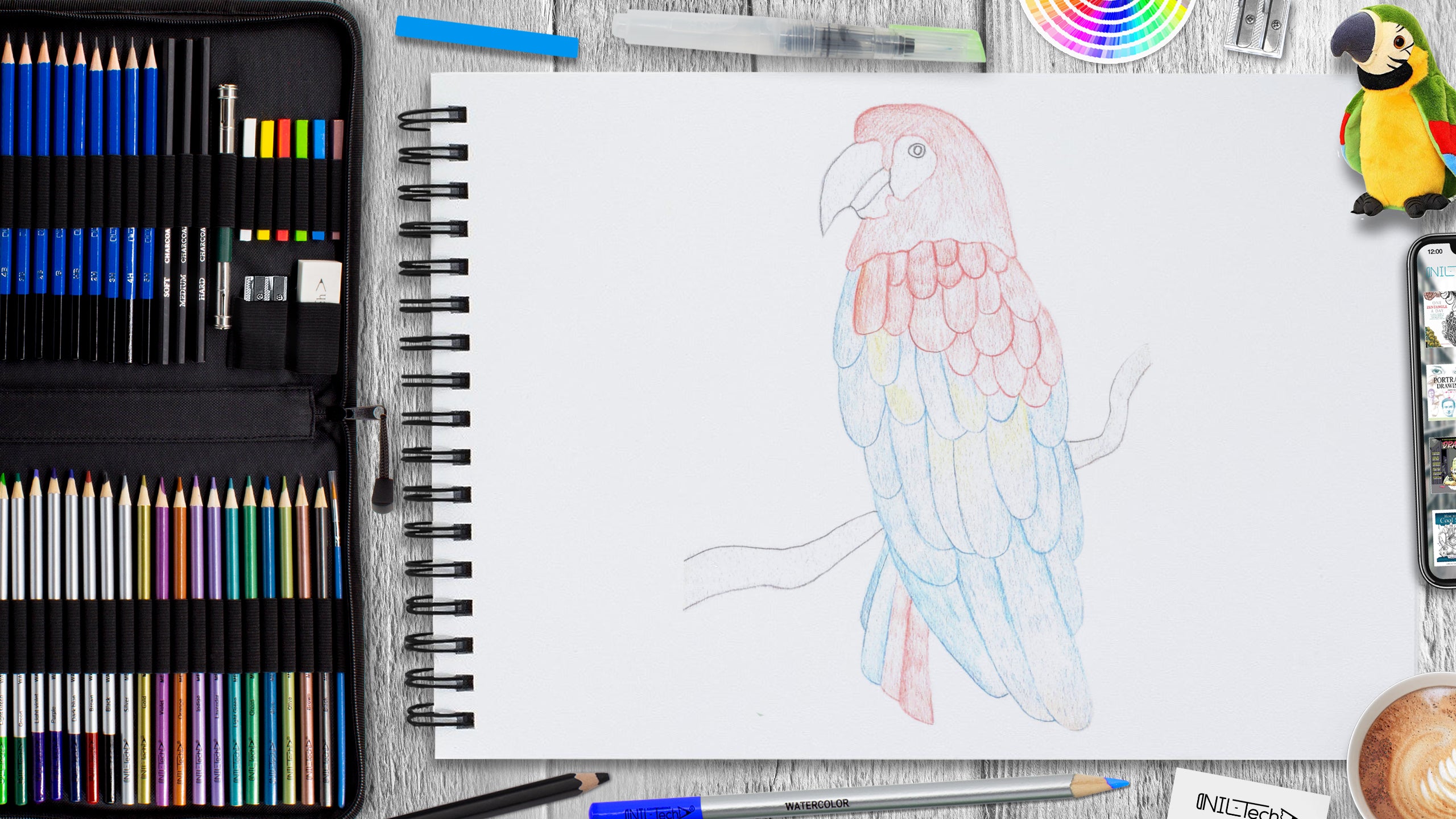 How to Draw a Parrot  Nil Tech - shop.nil-tech