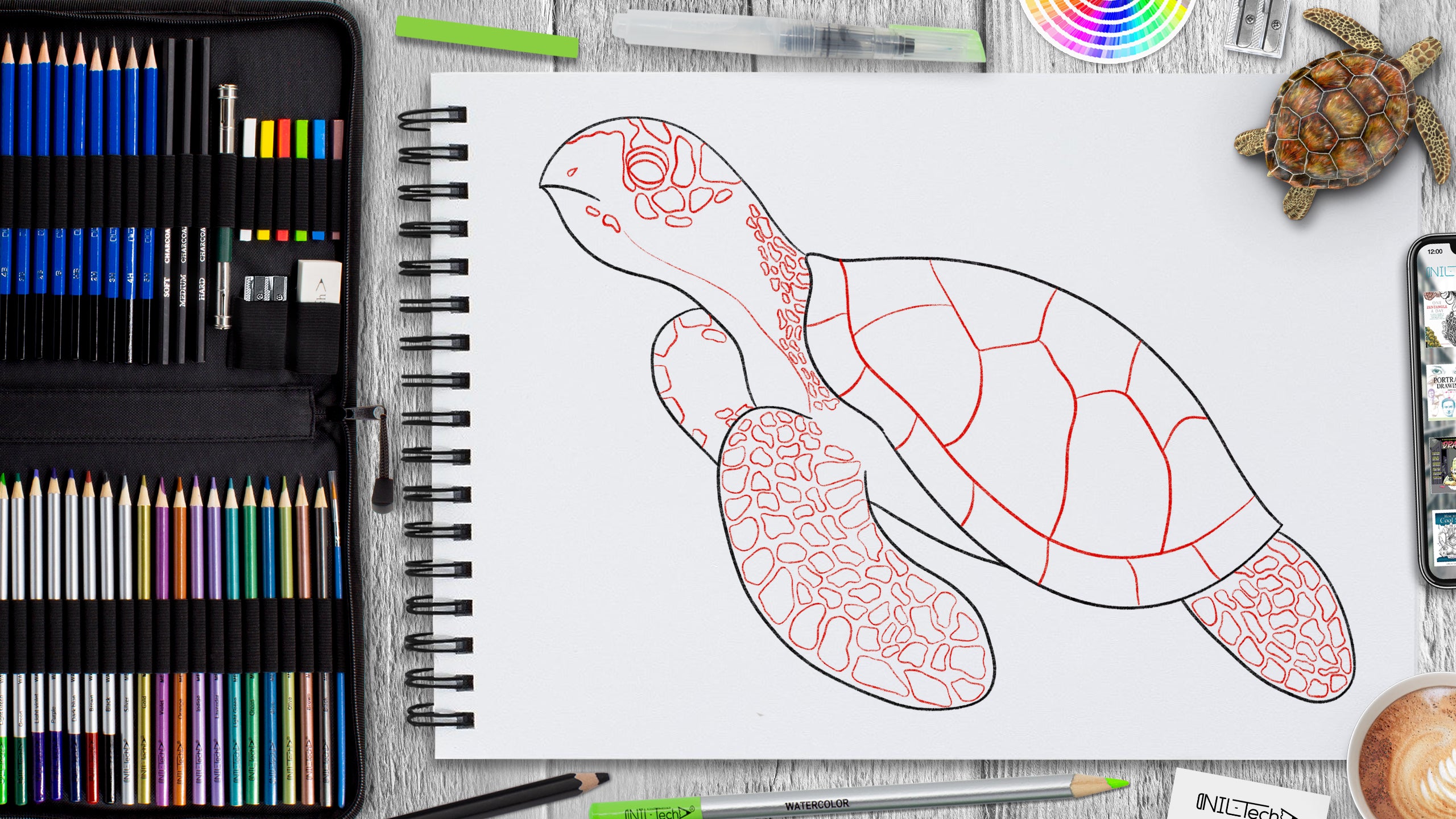 Draw A Turtle, Step by Step, Drawing Guide, by crazyfruitcake - DragoArt