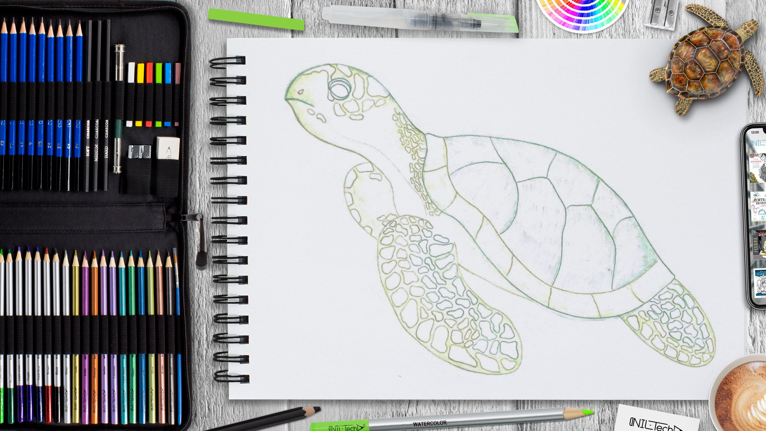Premium Vector | Hand drawn solid color turtle illustration