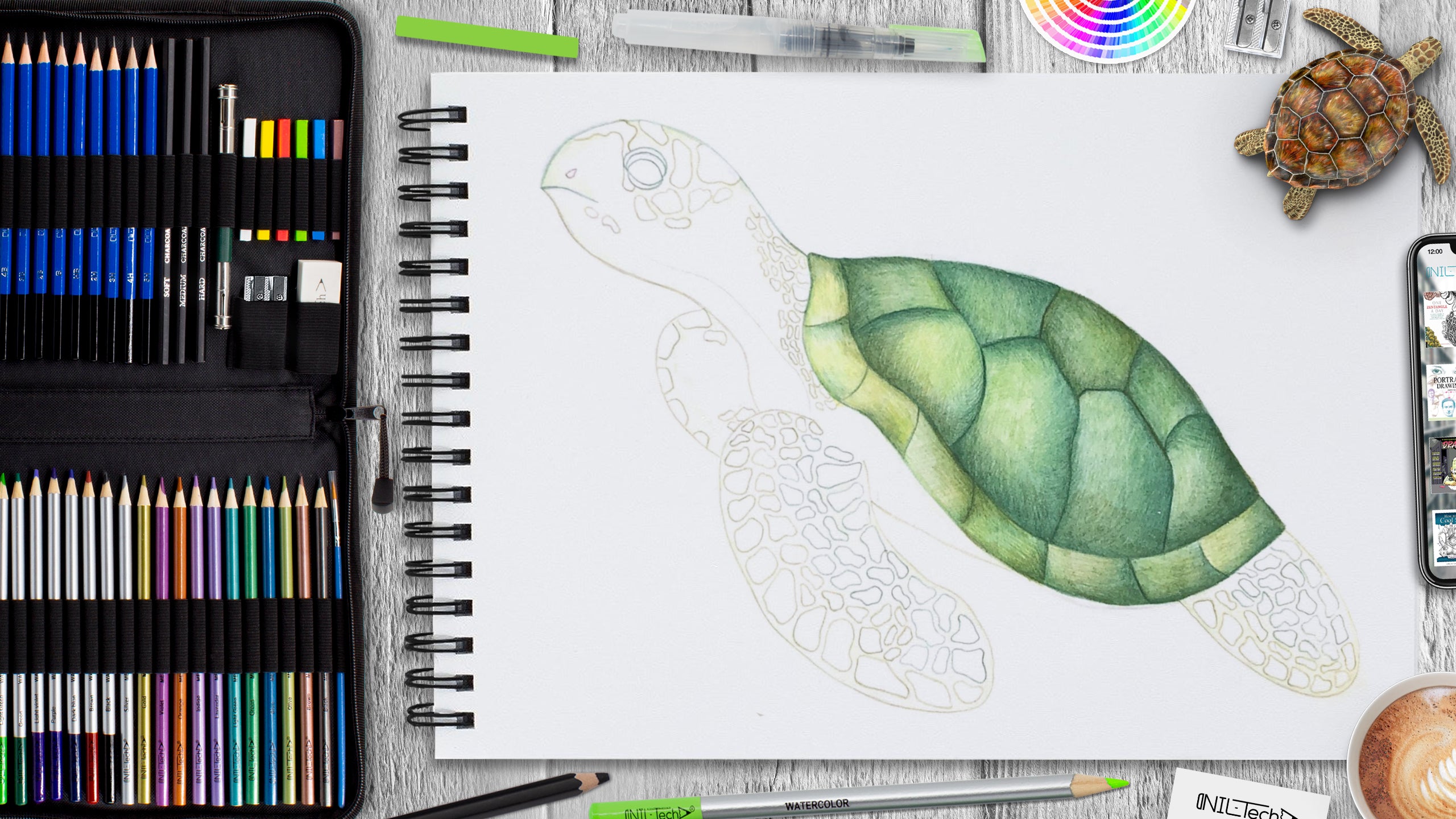 how to draw a realistic sea turtle