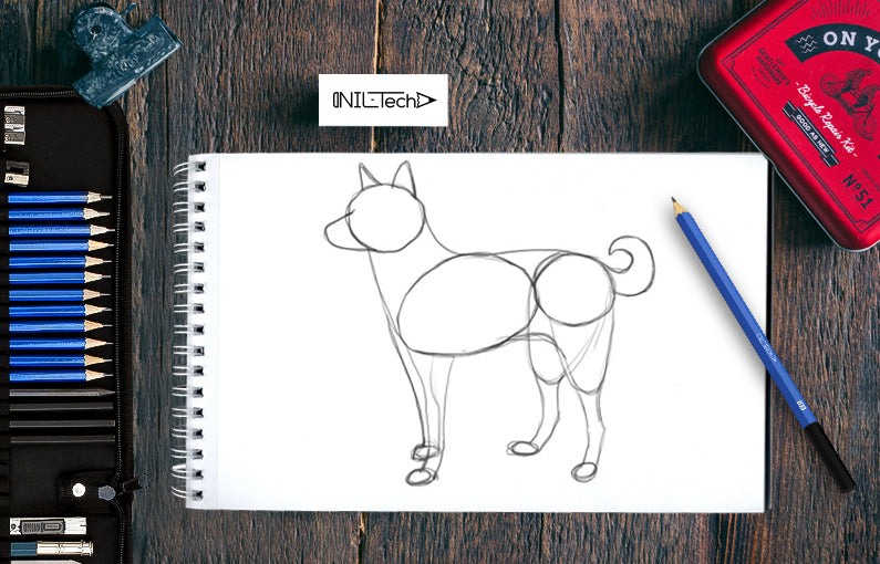 how to draw a husky dog step by step
