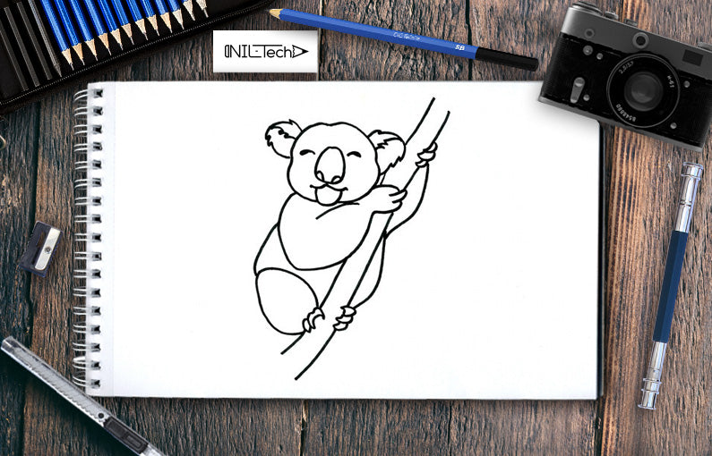 Koala Sketchbooks