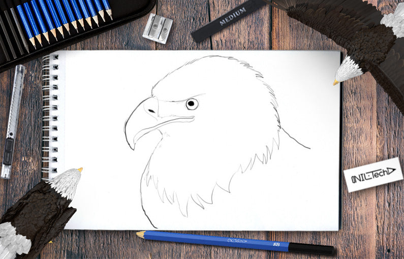 How to Draw Bald Eagle | Nil Tech - shop.nil-tech