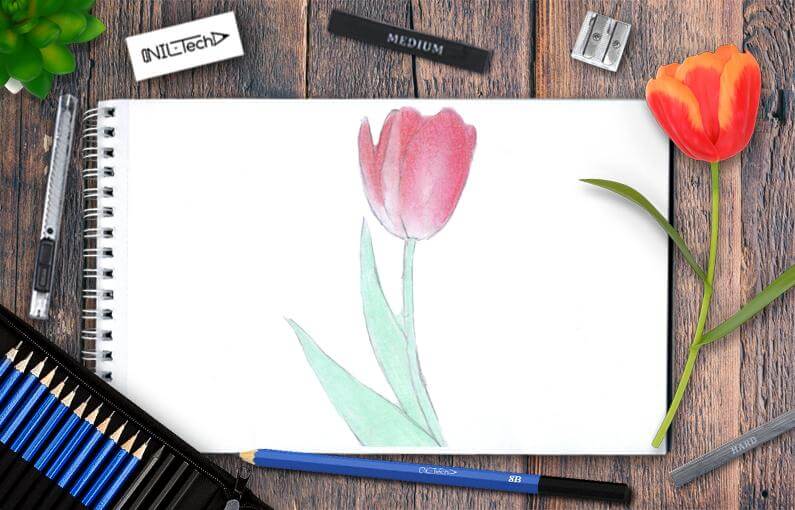 How to Draw Flowers: Book for Kids Easy Step-By-Step Drawing Tutorials Edition 5 [Book]