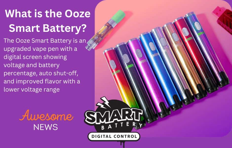 Ooze Smart Battery (650 mAh Vape Pen)  KING's Pipe New Smart Vape Pen