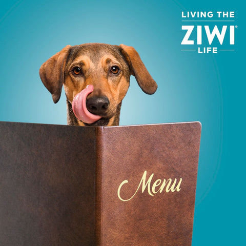 Living the ziwi life dog with menu