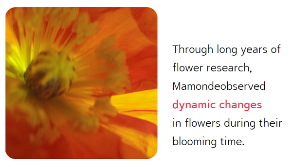 ingredients of mamonde red energy recovery serum