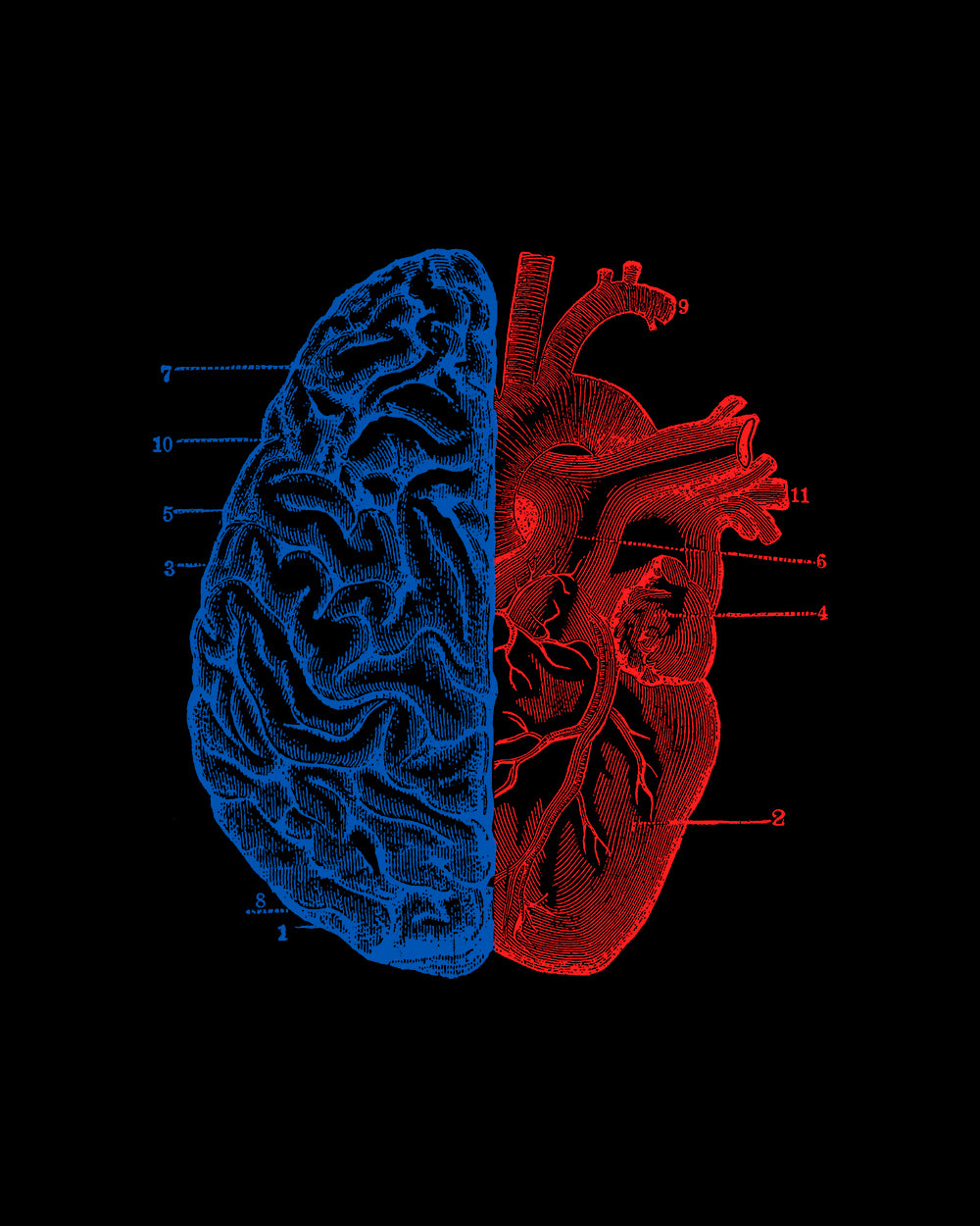 Heart and Brain T-Shirt