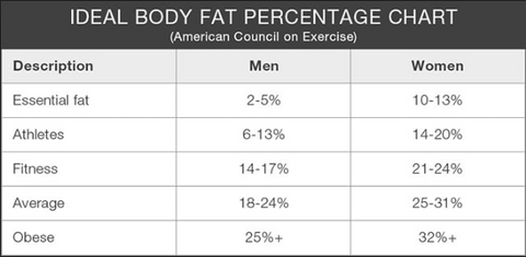 Body Fat Index Chart