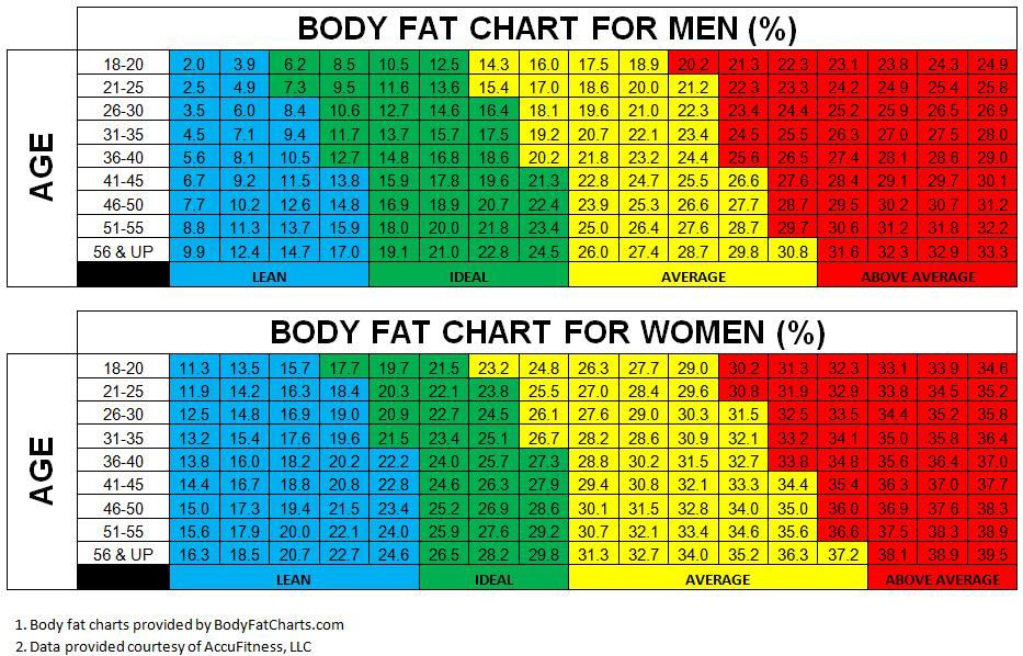 Is your Body Fat Percentage right? – FitTrack