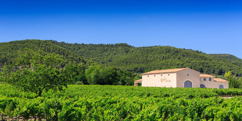 vignoble domaine bastide des deux lunes