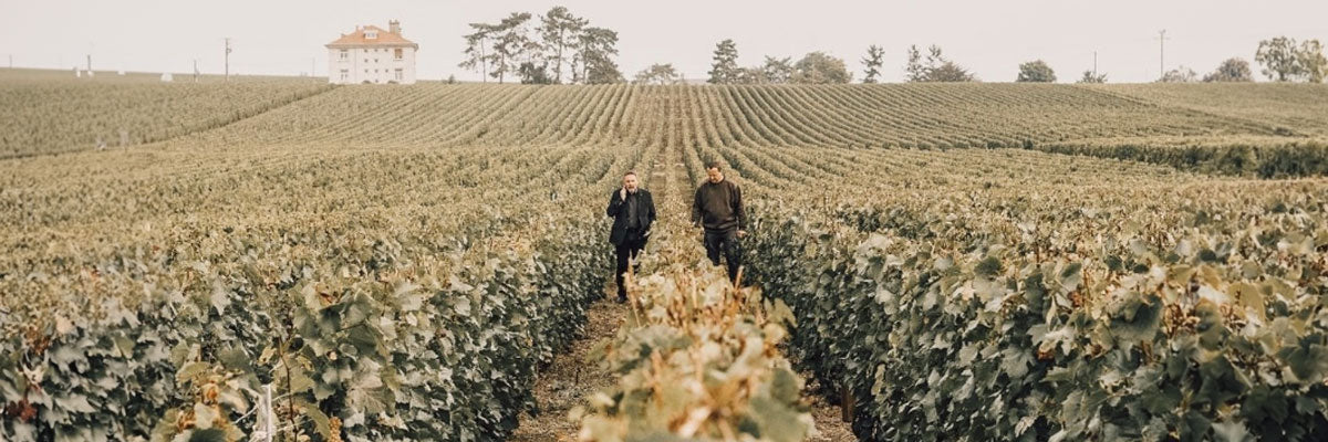 domaine vigne champagne alfred gratien