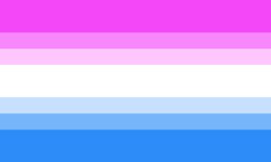 drapeau LGBT bi curiosité