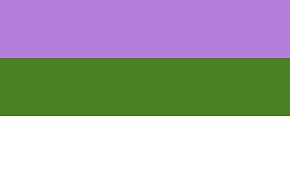 genderqueer LGBT signifaction flag