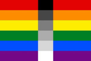 Bandiera omoflessibile LGBT