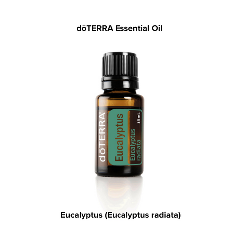 doTerra Eucalyptus essential oil
