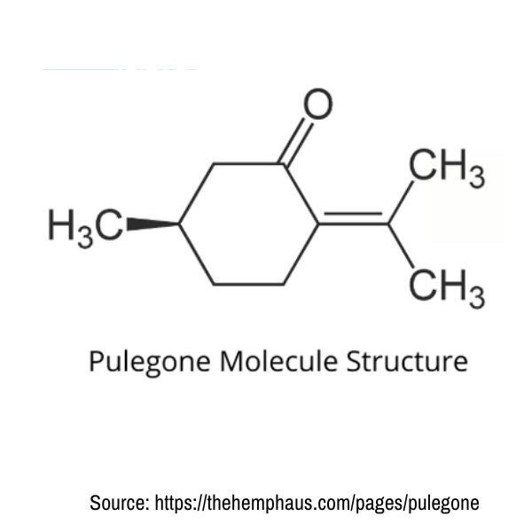 Pulegone Molecule Structure