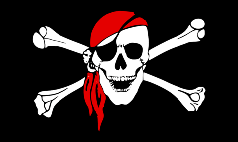 pirate skull bandana