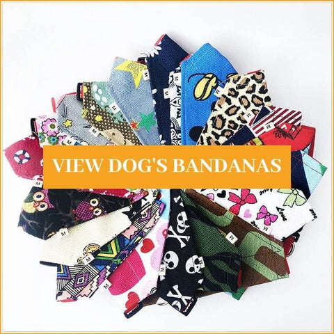 royal dog bandana buy