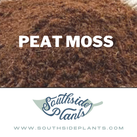 Sphagnum Moss vs. Peat Moss: What's the Best Growing Medium for Your  Plants? - A-Z Animals