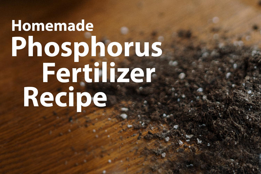 Phosphorus Fertilizer 1024x1024 ?v=1618839326