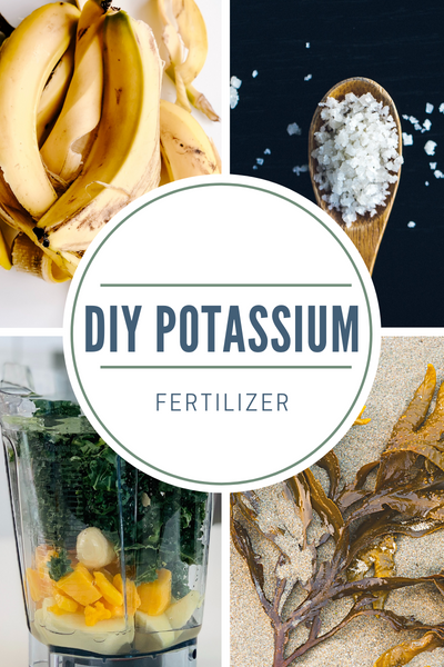 DIY Potassium Fertilizer
