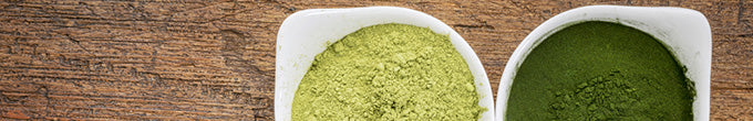 Algae and Seaweed Powder